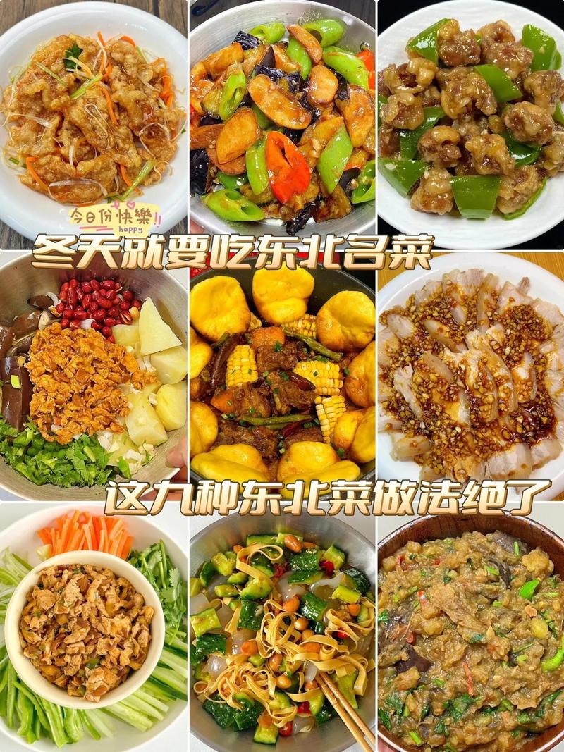 东北家常菜谱1000例,道道经典怎么做?-图1 东北家常菜谱1000例,道道经典怎么做?-图1