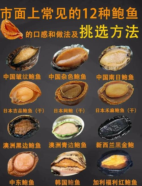 鲍鱼家常做法有哪些?-图2 鲍鱼家常做法有哪些?-图2