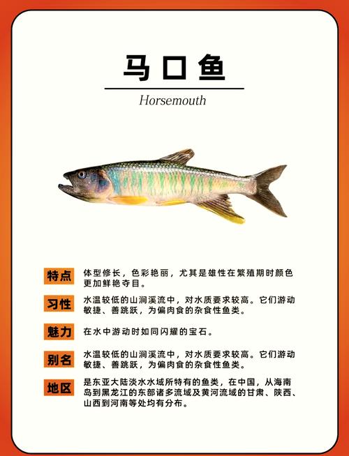 水潺到底算河鲜还是海鲜?-图2 水潺到底算河鲜还是海鲜?-图2