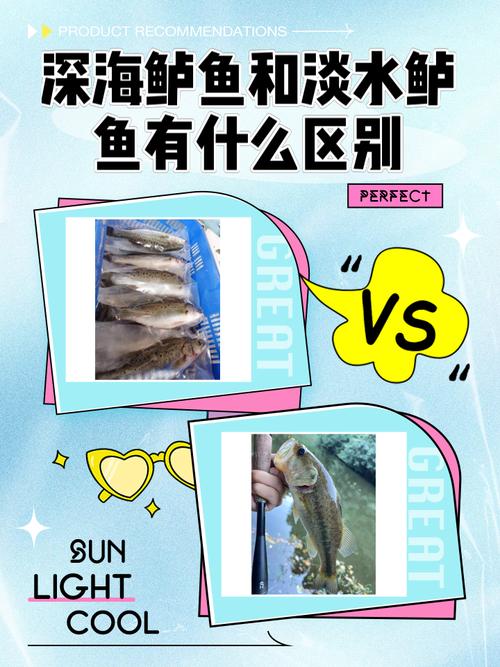 水潺到底算河鲜还是海鲜?-图3 水潺到底算河鲜还是海鲜?-图3