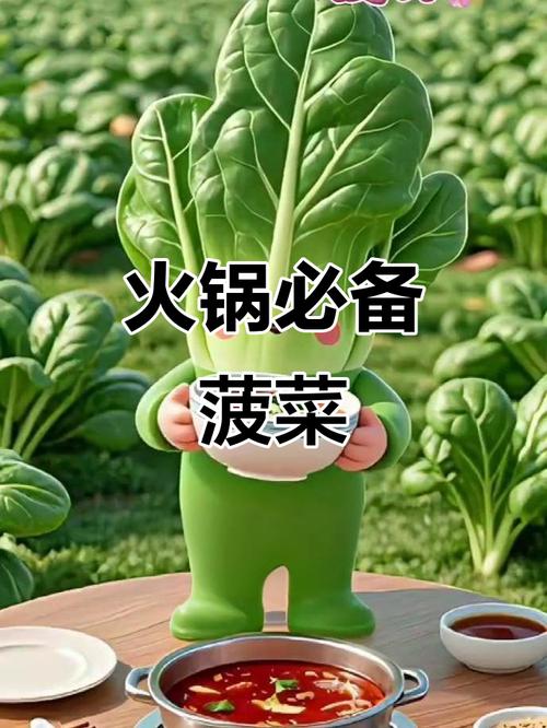 海鲜火锅能和菠菜一起煮吗？-图1