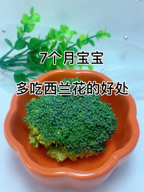 七个月宝宝能吃西兰花吗？-图1