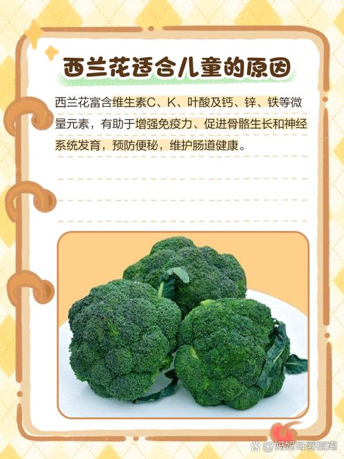七个月宝宝能吃西兰花吗？-图3