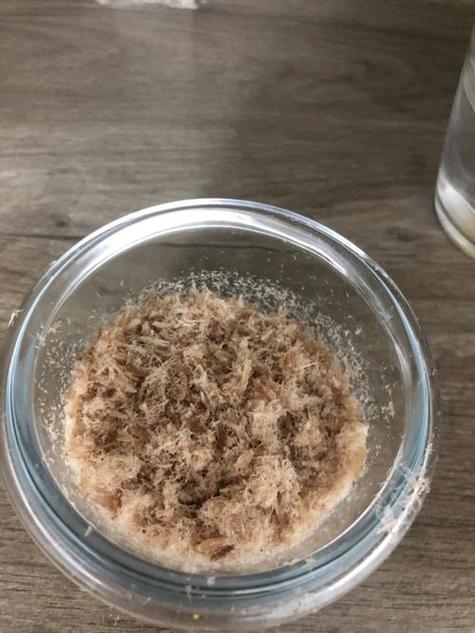 5月龄宝宝能吃肉松吗?-图3 5月龄宝宝能吃肉松吗?-图3