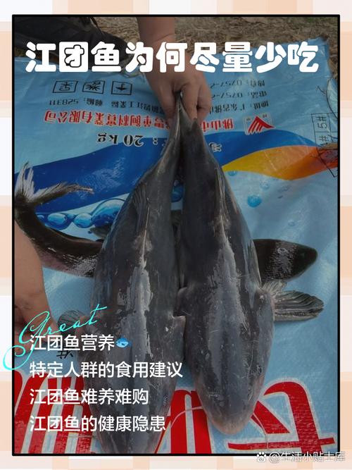 江团鱼算海鲜吗？-图2