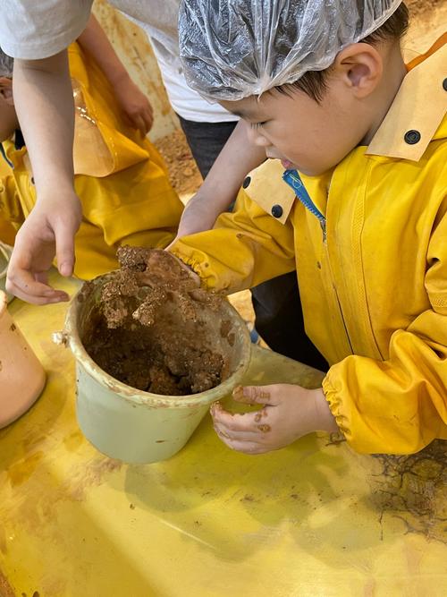 八个月宝宝能吃核桃泥吗？-图2