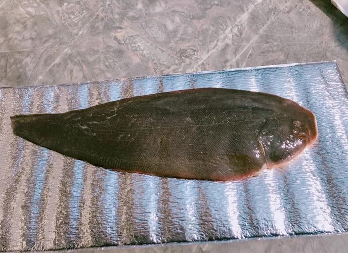 一岁宝宝龙利鱼怎么做好吃又营养？-图1