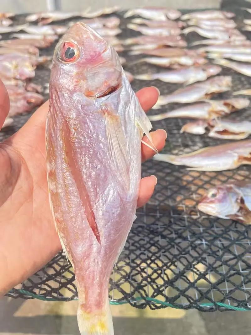 海鲜干货是怎么晾晒的-图2