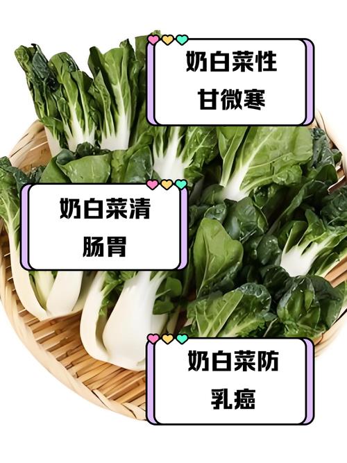 一岁宝宝能吃大白菜吗？-图1