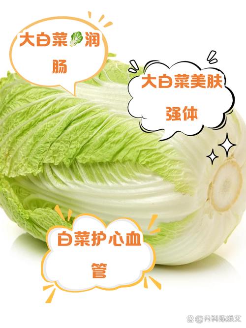 一岁宝宝能吃大白菜吗？-图2