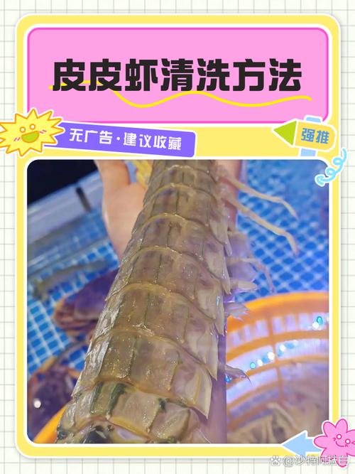 海鲜网潮怎么洗才干净？-图3