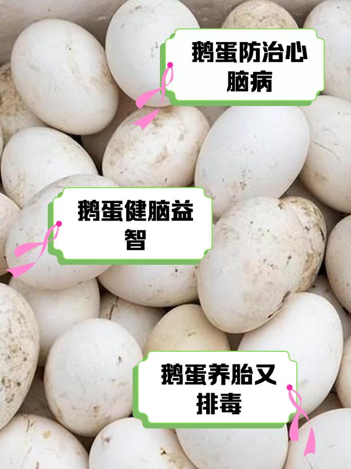 海鲜后能吃鹅蛋吗？会相克吗？-图1