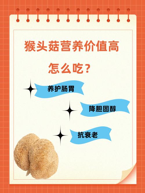 宝宝能吃猴头菇吗？适合多大吃？-图2