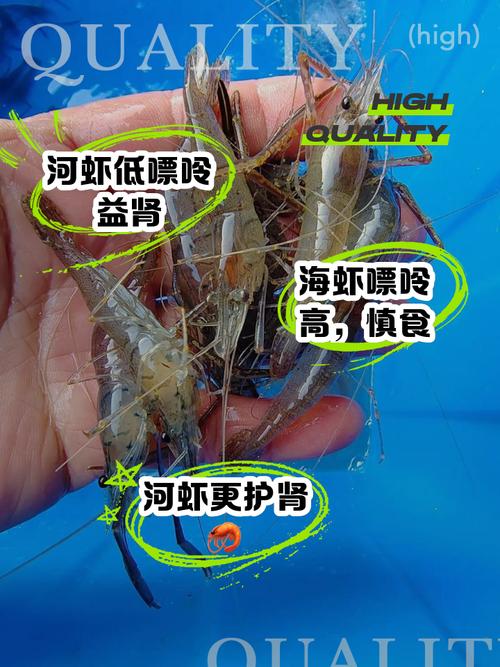 吃药能吃河虾吗?-图2 吃药能吃河虾吗?-图2