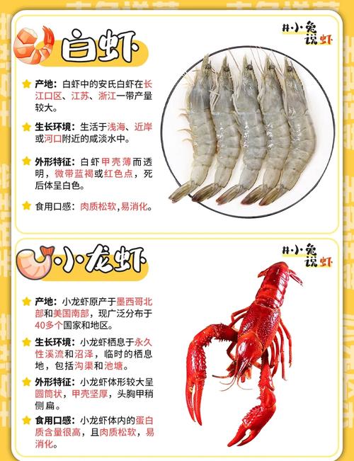 吃药能吃河虾吗?-图3 吃药能吃河虾吗?-图3