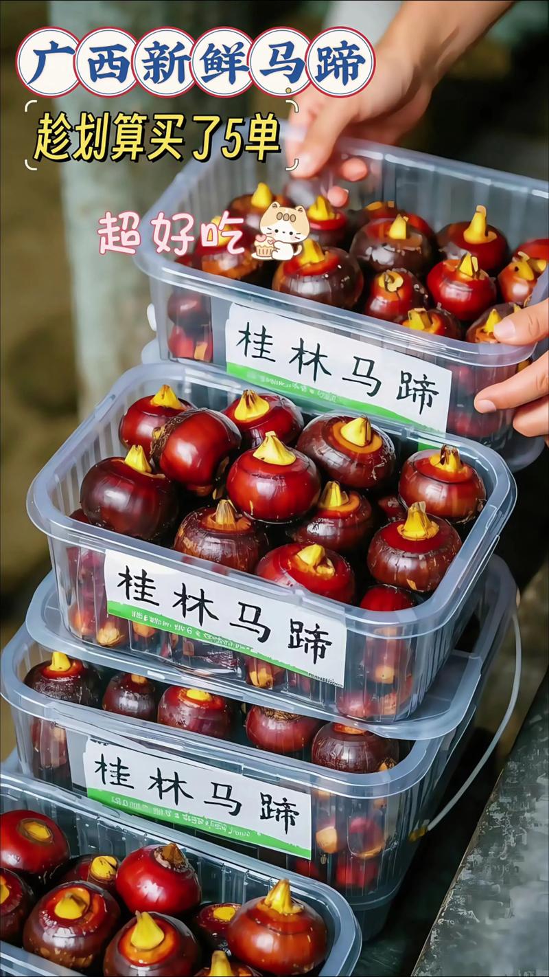 海鲜大荸荠怎么吃才最入味？-图2