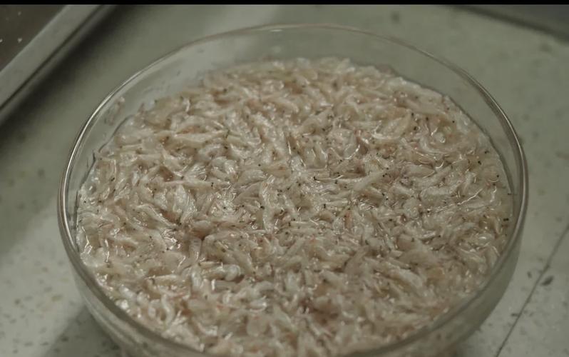 宝宝辅食虾皮粉怎么做？-图2