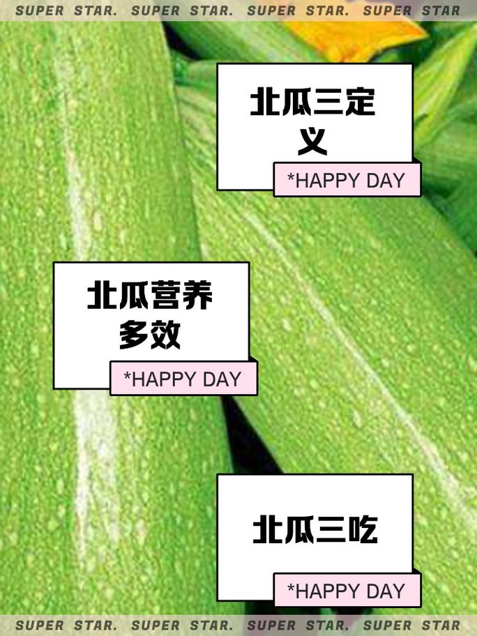 家常北瓜做法有哪些?-图2 家常北瓜做法有哪些?-图2