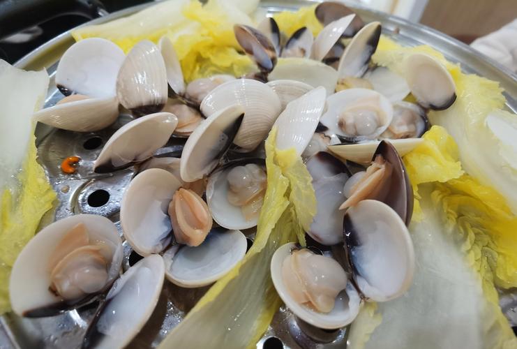 海边小白必吃海鲜有哪些?-图1 海边小白必吃海鲜有哪些?-图1