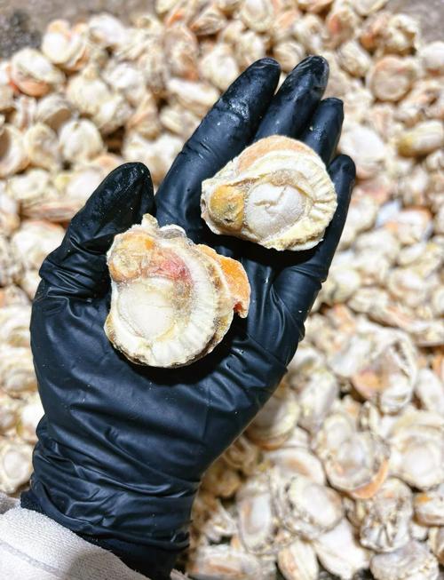 冷冻贝壳海鲜解冻有哪些正确方法？-图1