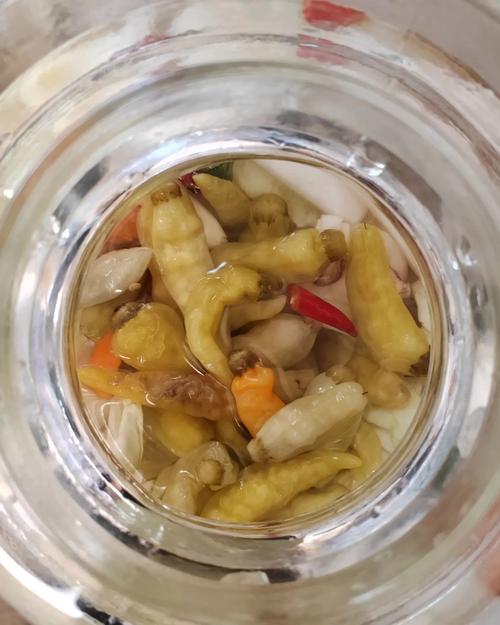 咸菜水加海鲜盐水，风味更鲜吗？-图3