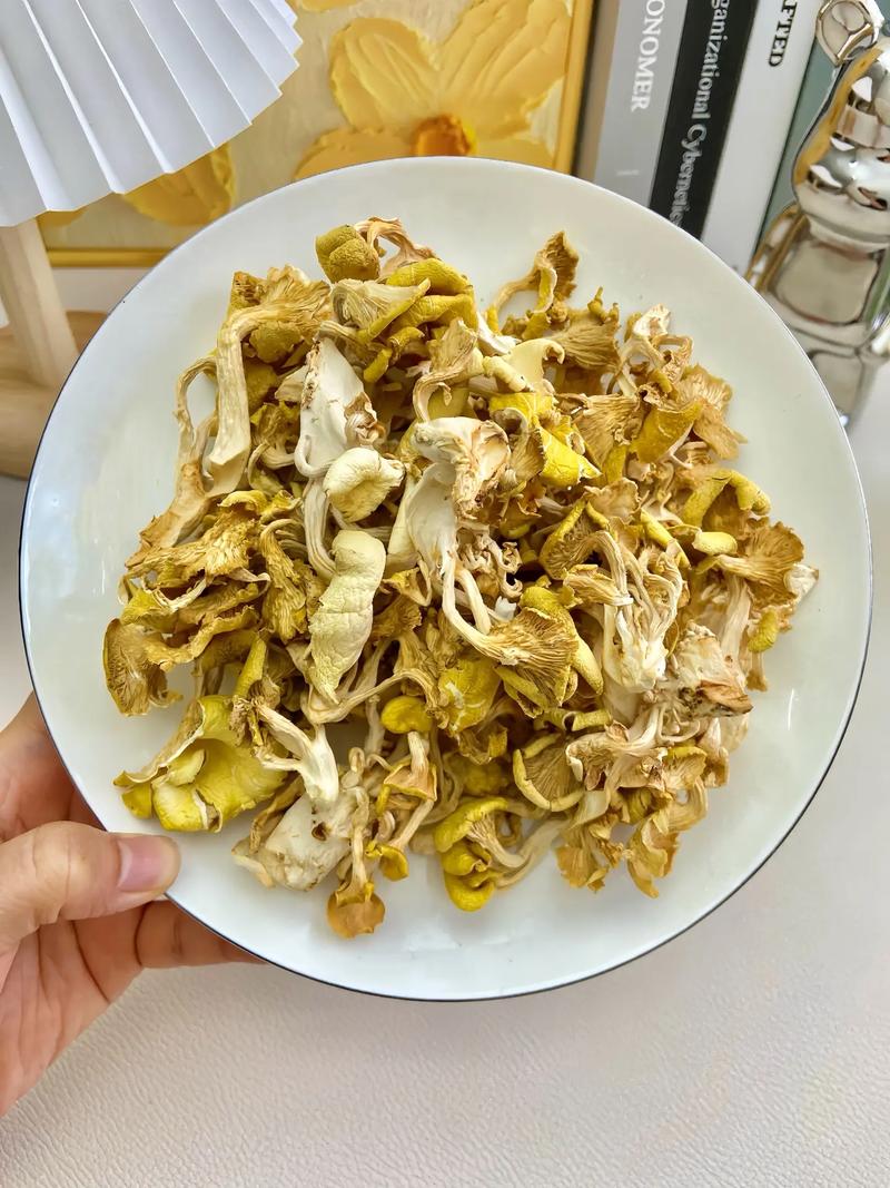 干鸡油菌怎么做好吃？家常做法有哪些？-图1