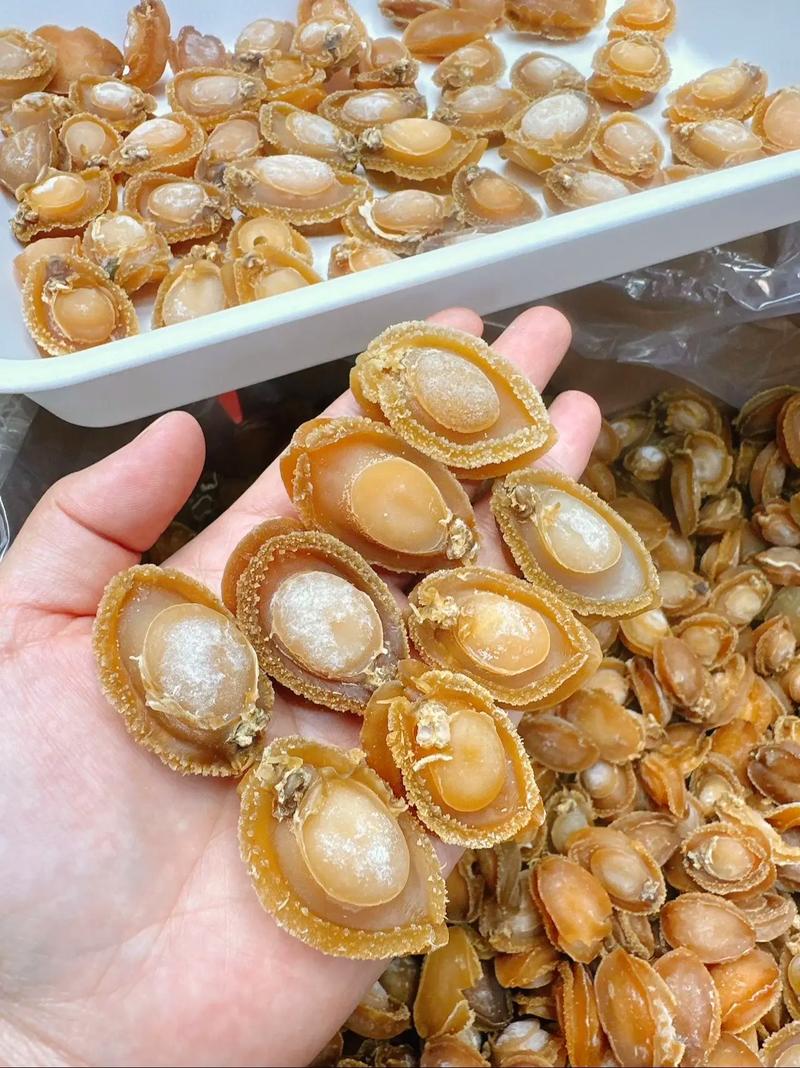 呼和浩特鲍鱼价格为何差异大？-图1