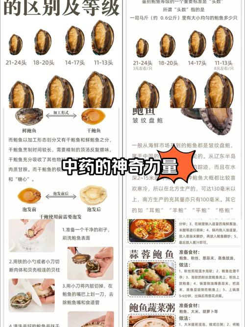 呼和浩特鲍鱼价格为何差异大？-图3