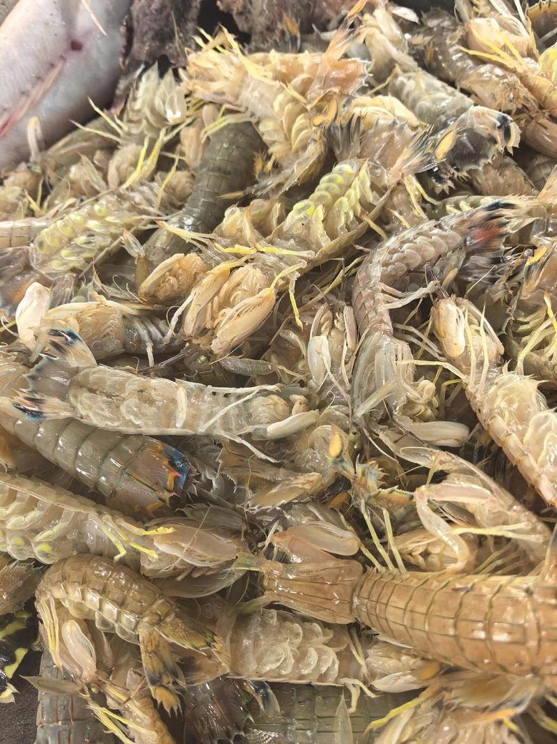 海鲜无冰箱，如何保鲜不腐坏？-图3