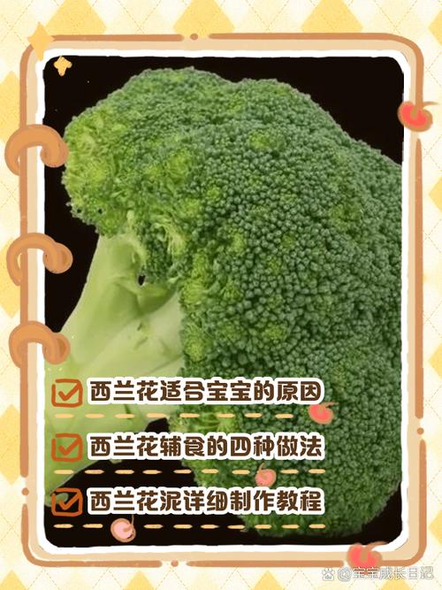 西兰花一岁宝宝怎么吃-图2