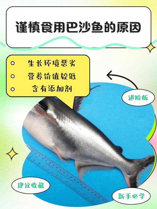 九个月宝宝能吃巴沙鱼吗？-图1