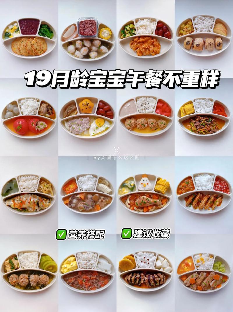 20个月宝宝辅食蔬菜怎么选?-图1 20个月宝宝辅食蔬菜怎么选?-图1