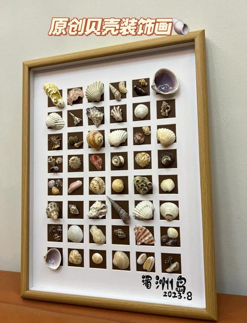 贝壳海鲜做法有哪些？-图2