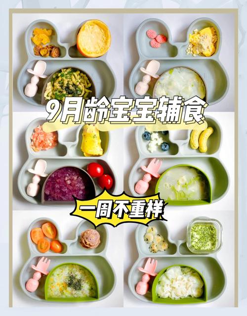 九个月宝宝能吃芹菜食谱吗？-图3