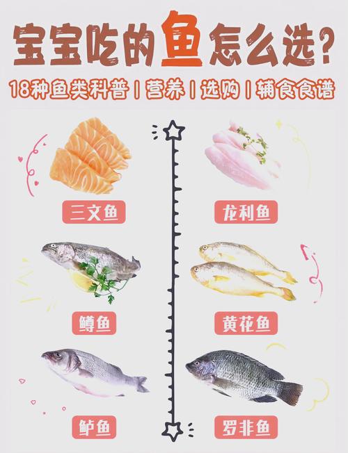 宝宝辅食选什么鱼好？-图2