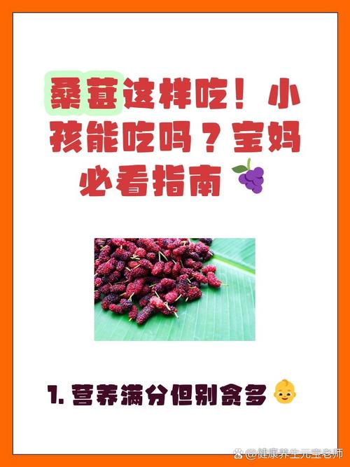 5个月宝宝能吃桑葚吗-图1