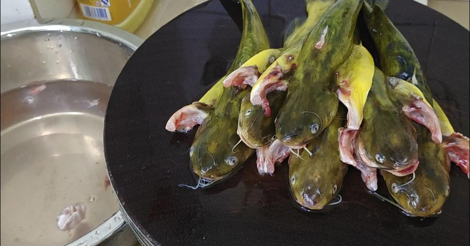 黄丫鱼怎么给宝宝吃才安全又营养?-图3 黄丫鱼怎么给宝宝吃才安全又营养?-图3