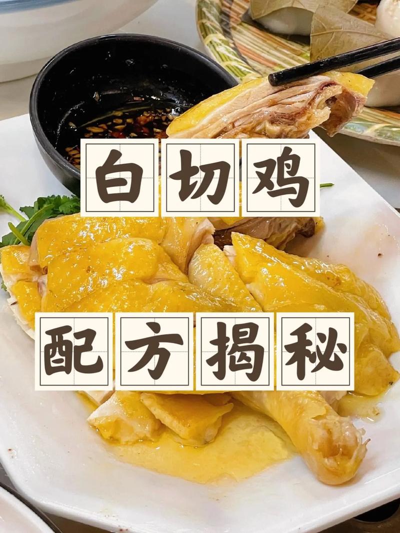 白鸡家常做法有哪些?-图3 白鸡家常做法有哪些?-图3