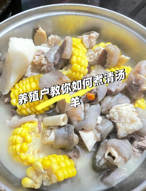 羊架汤怎么做？家常做法全在这！-图1