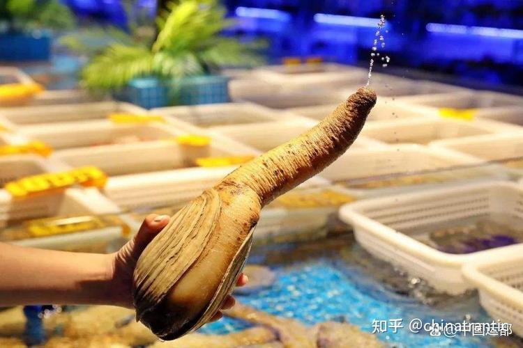 哪种海鲜壮阳效果最好?-图2 哪种海鲜壮阳效果最好?-图2