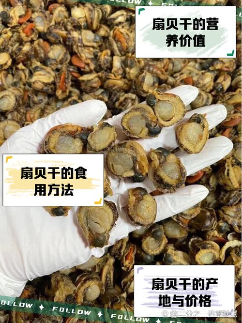 干贝属于海鲜还是河鲜？-图1