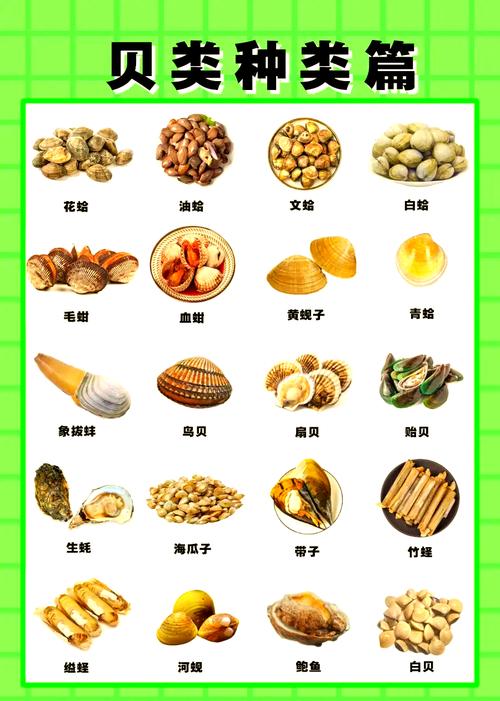 贝类海鲜做法大全,哪种做法最鲜嫩入味?-图3 贝类海鲜做法大全,哪种做法最鲜嫩入味?-图3