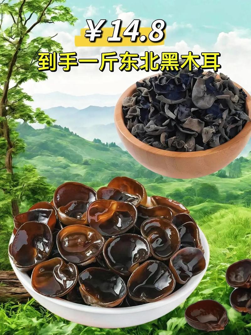 10个月宝宝辅食木耳-图2 10个月宝宝辅食木耳-图2