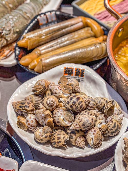 海鲜火锅常见贝类有哪些？-图1