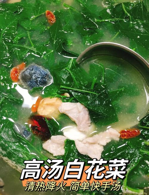 白花菜怎么做才好吃？-图2