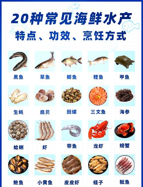 海鲜名称大全图片，有哪些海鲜？-图1