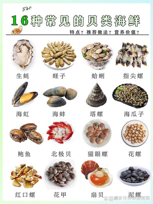 海鲜名称大全图片，有哪些海鲜？-图2