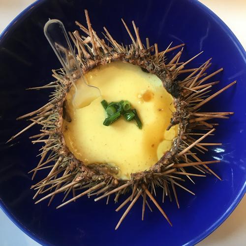 秦皇岛海鲜居海胆蒸蛋,鲜在何处?-图1 秦皇岛海鲜居海胆蒸蛋,鲜在何处?-图1