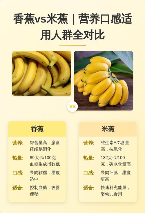 宝宝吃米蕉和香蕉,哪个更适合?-图1 宝宝吃米蕉和香蕉,哪个更适合?-图1