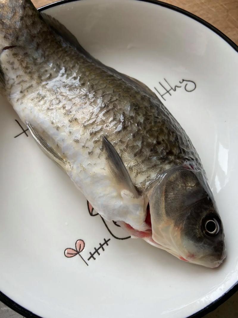 白鲫鱼的做法大全家常-图2